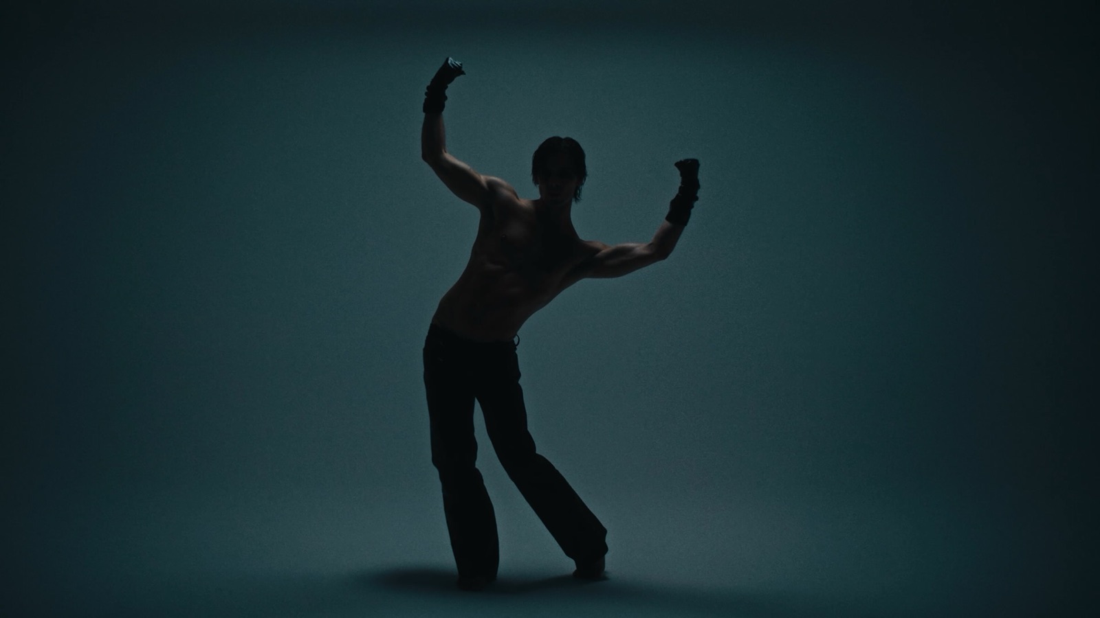 Videoclip musicali